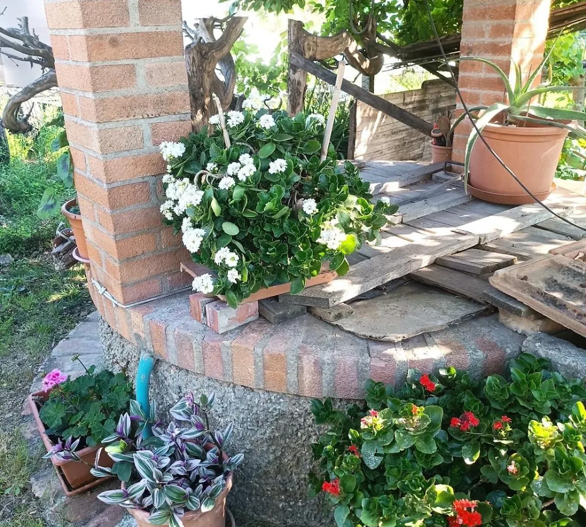 Chianti Apt Garden Free Parking To San Gimignano Poggibonsi Apartment